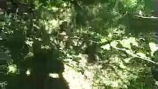 مقابلة ديسكو وحشي