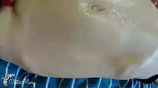 في سن المراهقة الهواة الهرة الطبيعية الدومينيكان