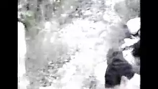 جنس حيواني صريح مع نساء موافقات