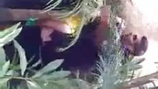 مقطع إباحي مع حيوان: فتاة بريئة وحمار يتزاوجان