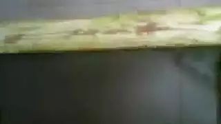 سكسي هندي طيز حلوة