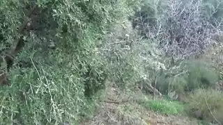 زيت له بزاز مساك كبير